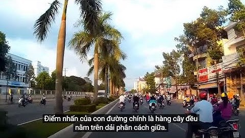 Đường 3 tháng 2 (từ Nguyễn Văn Linh đến Mậu Thân - Tp Cần Thơ)