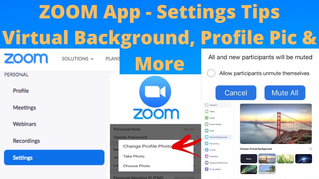 ZOOM App Settings :Profile pic, Virtual Background, Mute All, Raise