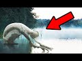 Cose spaventose scoperte nelle paludi e altri misteri inquietanti