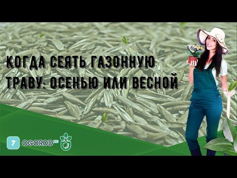 Видео: Когда сеять травы осенью?