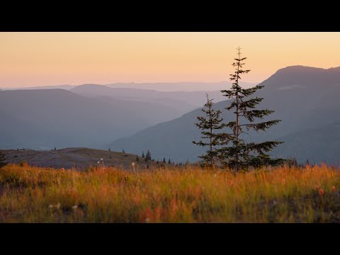 Video: Mount St. Helens Alojamiento y recomendaciones para acampar