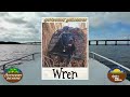 The Outdoors Delmarva Best of the First Half of 2024 Special (Part 5): Viewer Photos