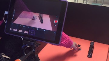 Stop Motion: Onion Skin