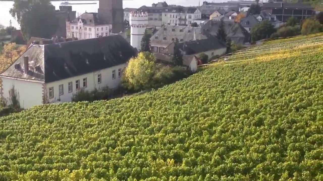 مزارع العنب المانيا Youtube