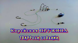 Корейская Пружина Trappola Coreana Для Ловли Карпа, Карася! Супер Уловистая Пружина Убийца Карася