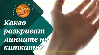 :   :    ?