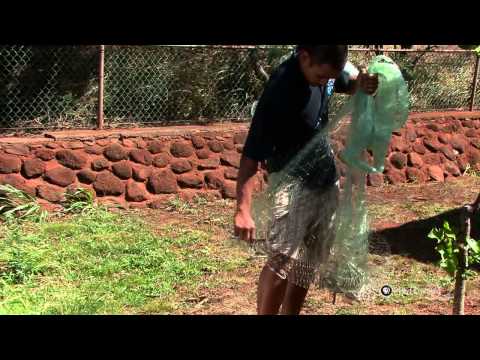 "How to Throw Net" by Molokai High School | HIKI NŌ 403 | PBS HAWAIʻI