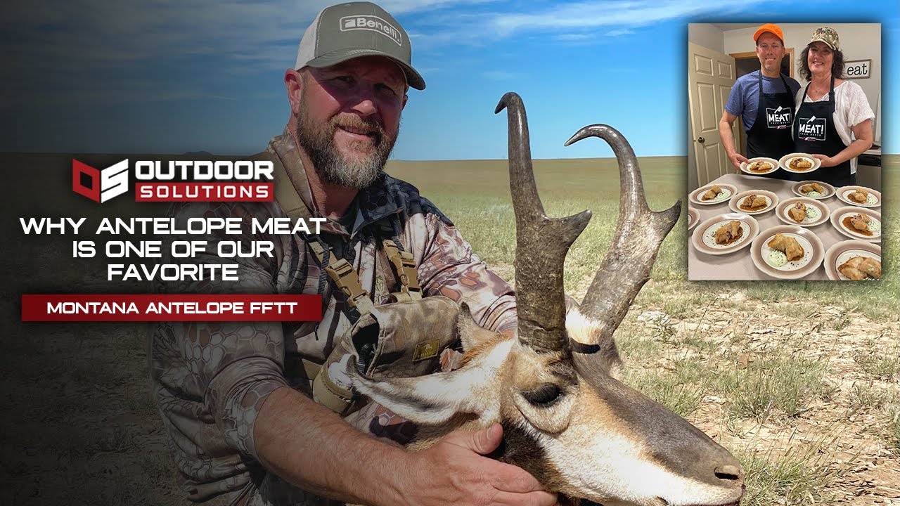 Is Antelope Better Tasting Than Elk? YouTube