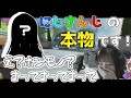 【まじ？】にじさんじオタクのワイが野良の女の子に声をかけたら郡道美玲だった件【APEX】