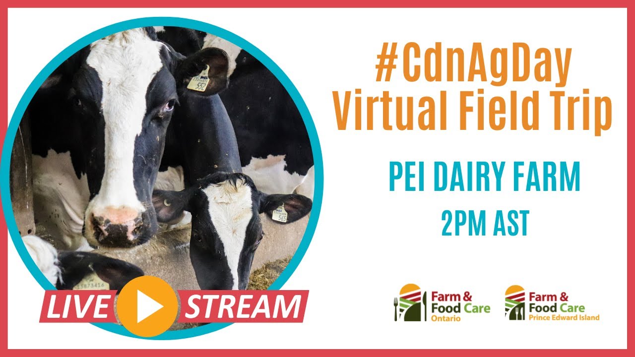 PEI Dairy Farm Tour CdnAgDay YouTube