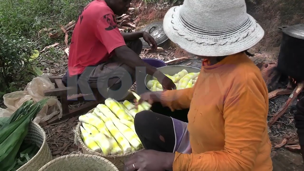 ALALINO BONONOKA DU 28 AVRIL 2024 BY KOLO TV