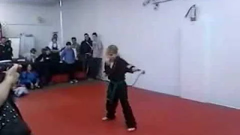 Tora Do Karate Demo: Kata, Sparring, 2-On-1 Sparri...