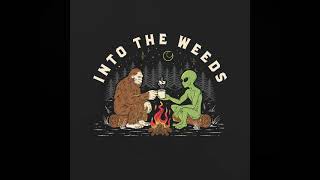 Taylor Mayes Interview