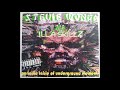 Steve wonda  underground elements vol 1  90s to early 2k underground real hip hop mixtape cd