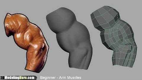 How to Model Arm Muscles - Low Poly Beginner 3D Modeling Tutorial
