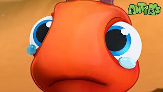 It's Okay to Cry Joey 🔴NEW EPISODE🔴 ANTIKS | Funny Cartoons For All The Family!