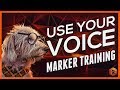 How to use marker training  using your voice with your dog