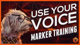 How to Use Marker Training  Using your Voice with your Dog