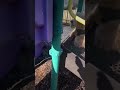 Cute Dog Going Down A Slide