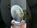 DENDRITIC AGATE: STONES CRYSTAL SPECIMEN FENG SHUI ABUNDANCE &amp; GROWTH