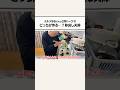 78歳芸人おばあちゃん、家事の役割分担は? #shorts #芸人おばあちゃん #おばあちゃんといっしょ