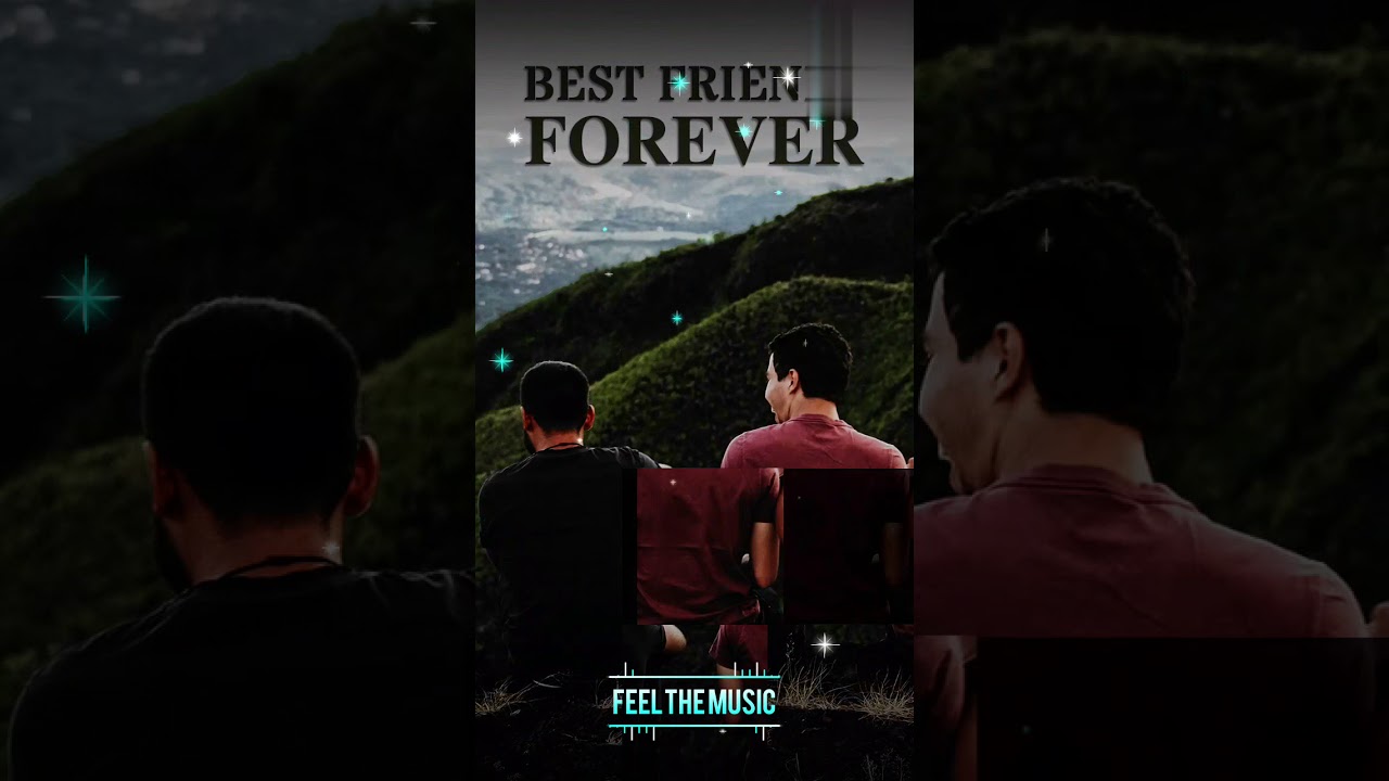 Best friends forever 👈🔥 🧡 Status Tech 💙 YouTube