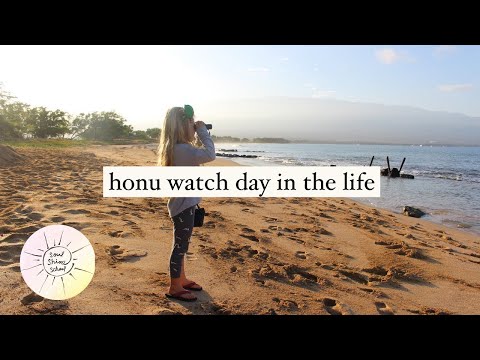 A Day of