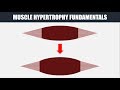 Muscle Hypertrophy Fundamentals | How to Train for Muscle Growth