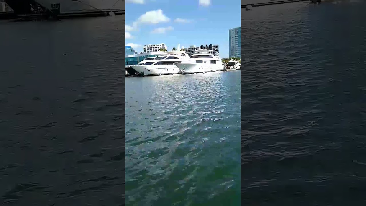 Florida. Sea - YouTube