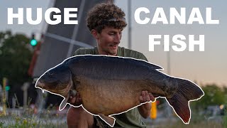 I caught the biggest carp in the stretch- Escaping London 1 by Jacob London Carper 137,505 views 10 months ago 40 minutes