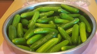 Hemen Yap 1 Haftaya Ye Çitir Çitir Yaz Turşusu Asla Eri̇mez