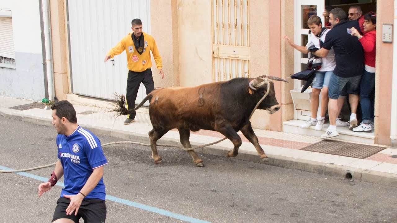 Recorrido del Torito del Alba Hacendero - Benavente 2018