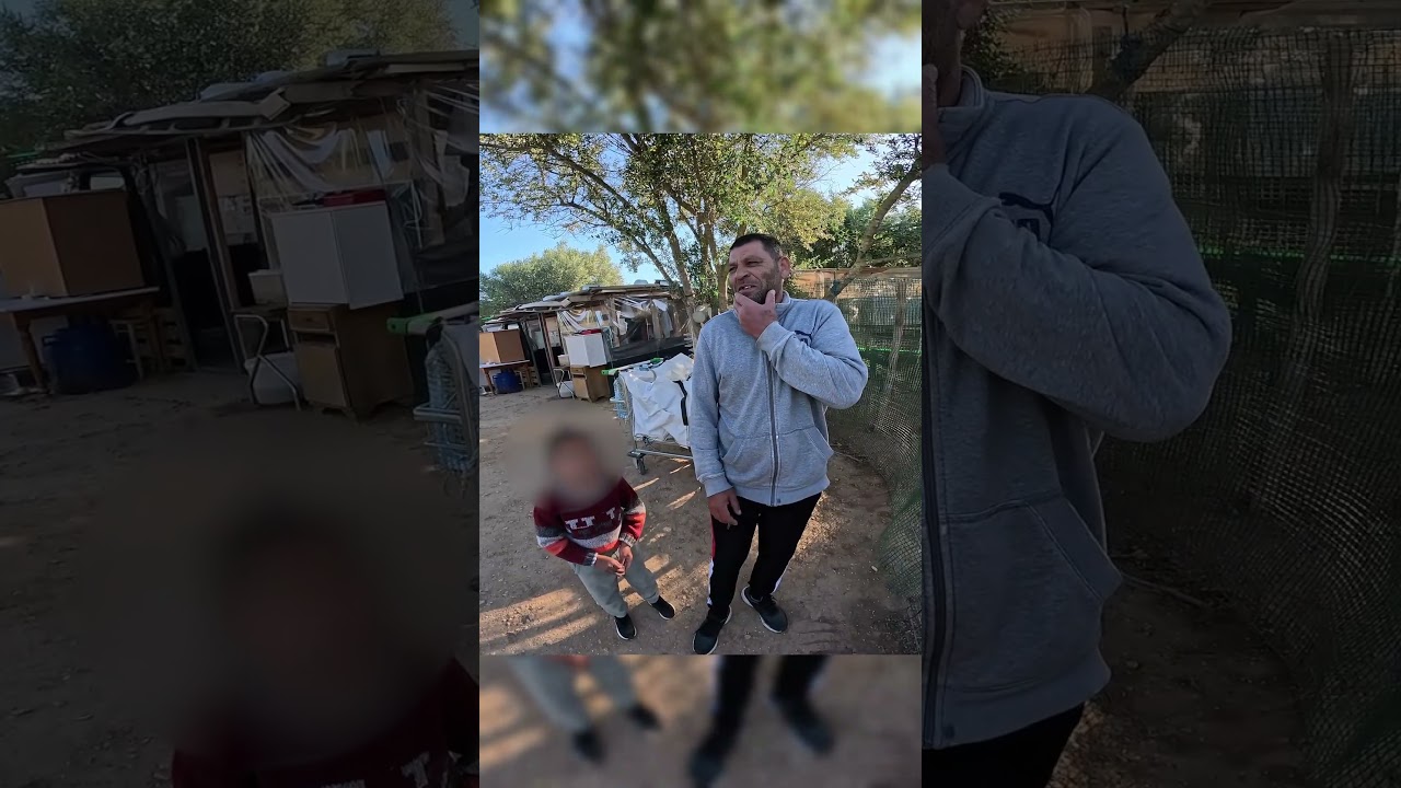 Vídeo completo ☝️ Asi viven en chabolas en Mallorca #mallorca #chabolas #viajar #chabola #viral