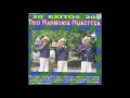 Trio Armonia Huasteca - 20 Exitos (Disco Completo)