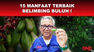 15 MANFAAT TERBAIK BELIMBING BULUH !