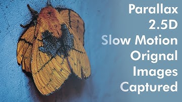 Parallax 2.5d Slow Motion Orignal images Captured