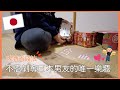 日本生活⎮抽獎、日常⎮主婦最愛省錢妙招😍 買啤酒送盤子🥰日常看電影、吃飯⎮Eve 伊芙,留日生活中