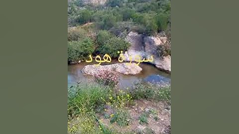 سورة هود:الثمن الرابع من الحزب الرابع والعشرين.
