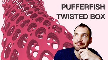 Pufferfish Twisted Boxes