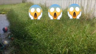 Full Transformation - Overgrown Yard All Grass Clippings Were Collected #asmr #satisfyingvideo