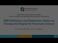 Ddr deficiency and replication stress in pancreatic cancer  2023 brca scientific symposium