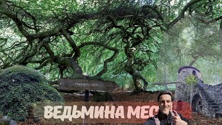 Ведьмин лес / Остров Рюген / Дорога без возврата