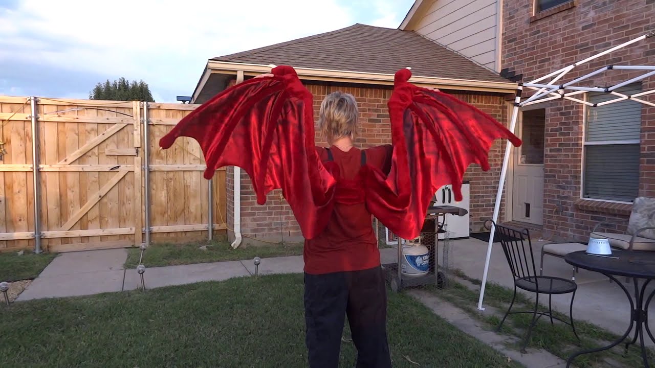 Nemmy Dragon Wing test - YouTube seal wire harness 