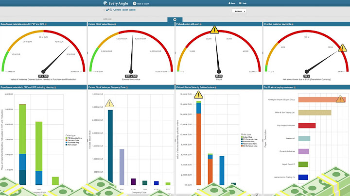 Every Angle Control Tower for SAP - Waste