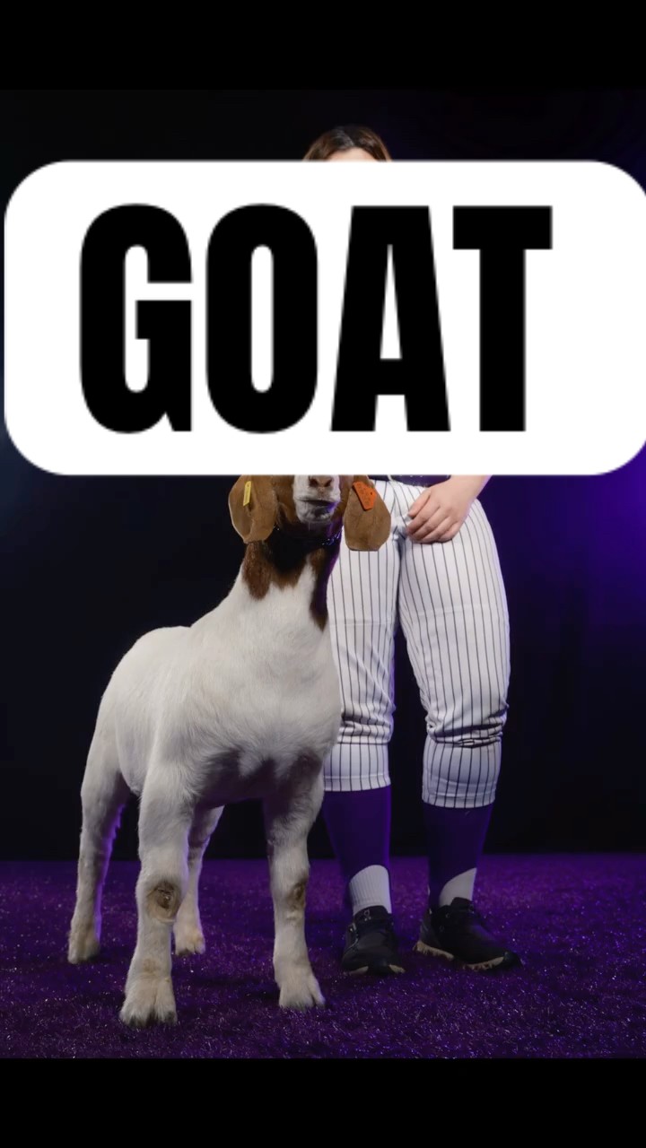 Softball photos with the GOAT! Seriously, a goat. #softball #photographer