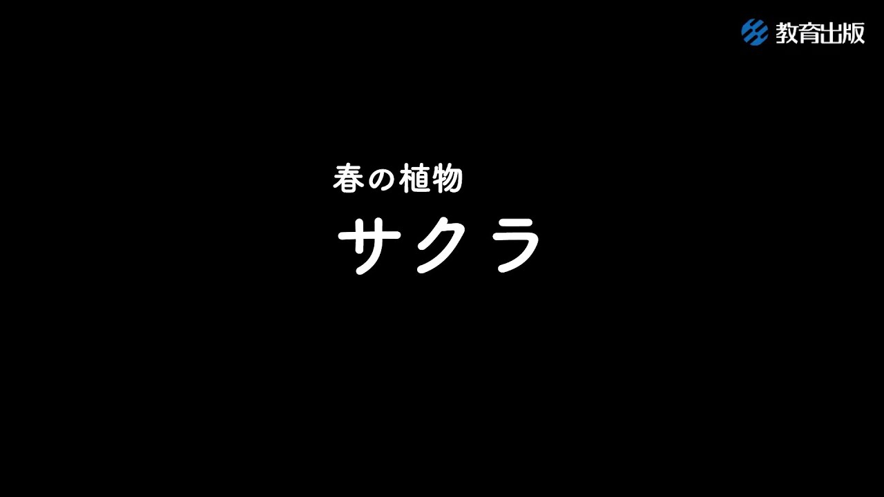 春の植物 サクラ 花が散ったあと Youtube