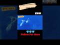 Dolphin vs Ship Race! 🐬🚢 মাঝ সমুদ্রে জাহাজের সাথে ডলফিনের অবিশ্বাস্য রেস! #shorts #viral #dolphin