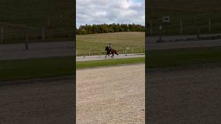 Got to do a speedy bareback canter on my trainers new horse💗 #horse #horseriding #equestrianriding