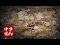 《中华揭秘》 古越谜墓 施工取土意外发现东周大墓 20180704 | CCTV科教