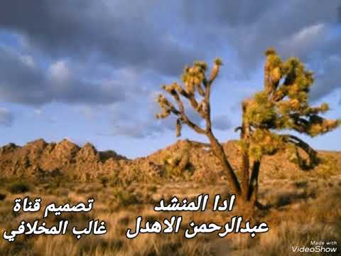 صلوات الله كل ضحا المنشد عبدالرحمن الأهدل زفاف المقيل